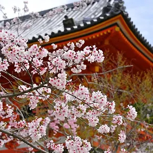 Sakura Gion North Aparthotel